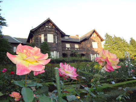 秋の薔薇フェスティバル＠駒込、旧古河庭園！