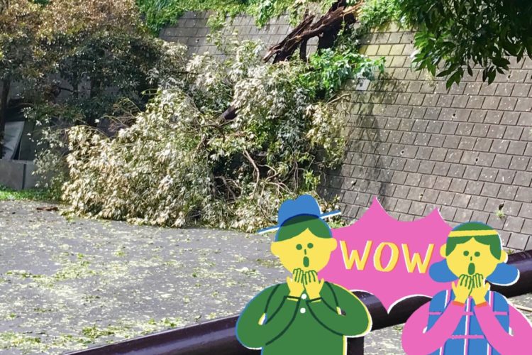 台風一過??