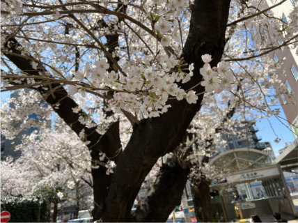 ありがとうございました！